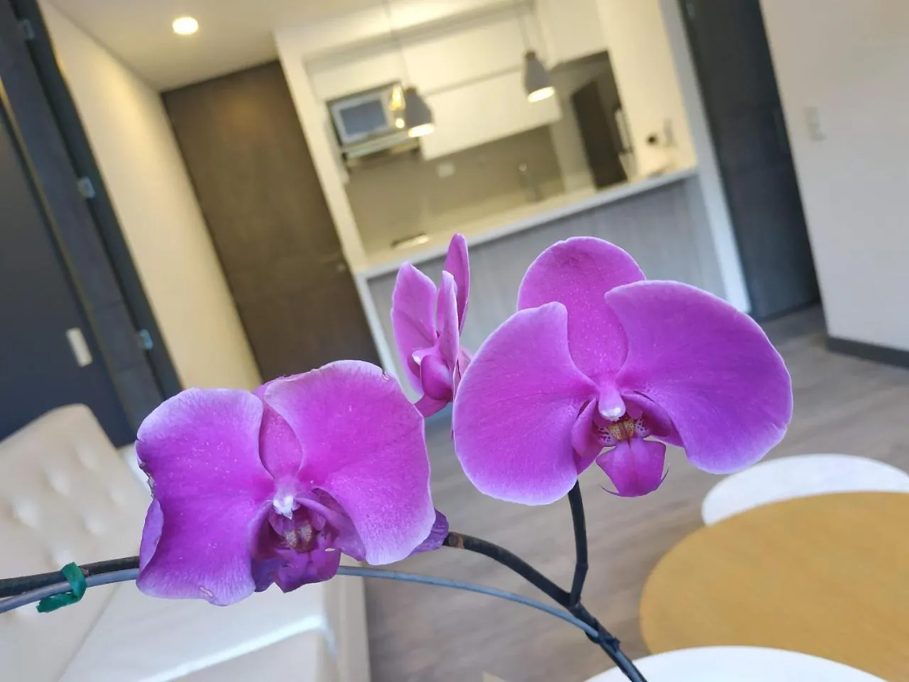 Class Suites By Colclick Envigado Hotel