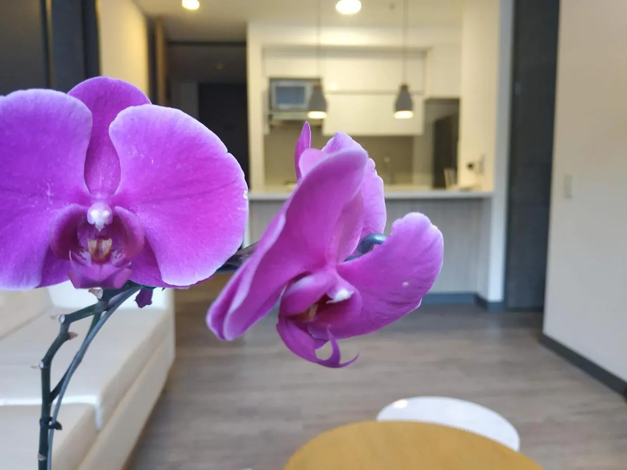 *** Hotel Class Suites By Colclick Envigado Colombia