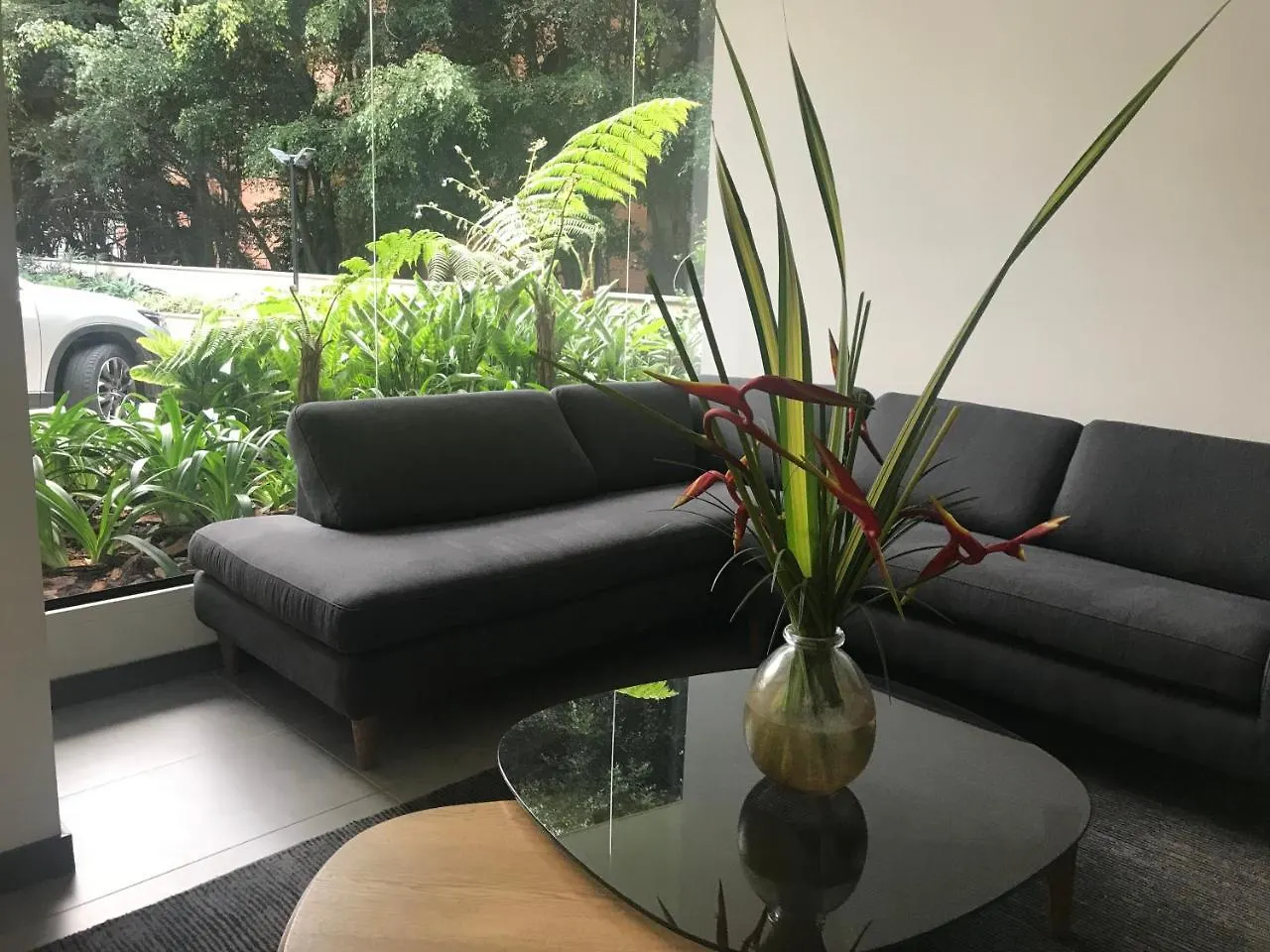 Class Suites By Colclick Envigado 3*,